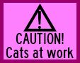 CAUTION! Cats at work
