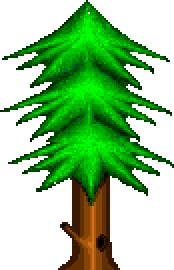 Pine tree