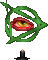 Macula says: "Do not overthink why an empty void would need a Guardian." Macula
